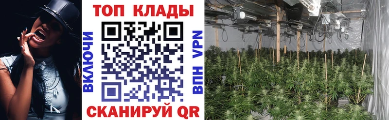 Как найти закладки Заполярный A-PVP  Конопля  Cocaine 