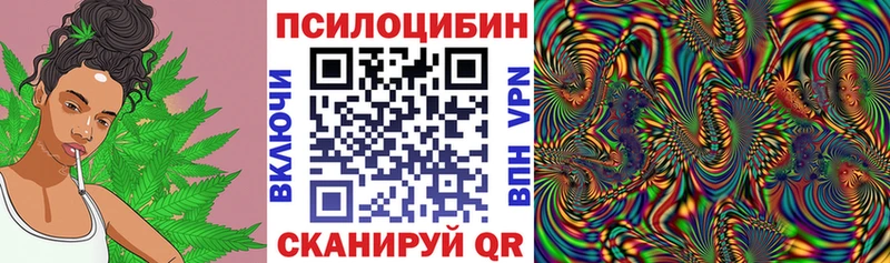 Псилоцибиновые грибы Psilocybe  где можно купить   Заполярный 