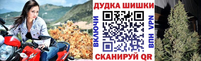 kraken зеркало Заполярный Канабис White Widow